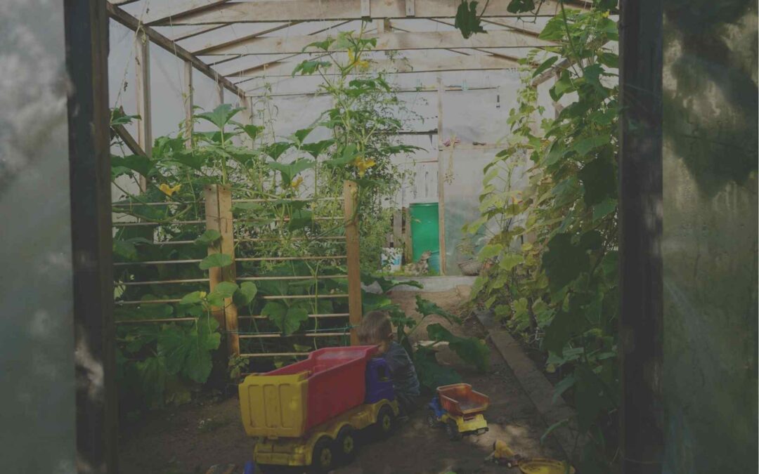 Fullscript Supplements