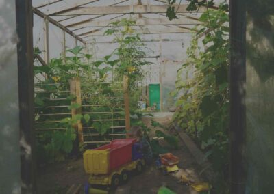 Fullscript Supplements